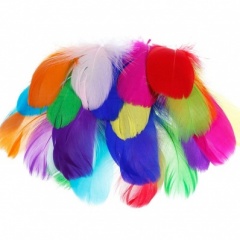 Feathers Assorted