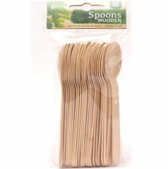 Disposable spoons enviro pk24