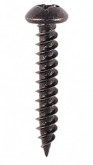 6x1 Black Woodscrews