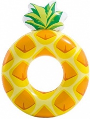 PINEAPPLE TUBE 46'' x 34''