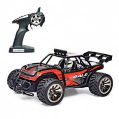 Toys as fun RC Racing series car with radio control