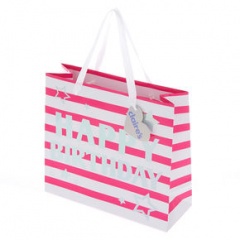 ED BAGS, PINK & SLIVER STRIPE MEDIUM  pack of 6