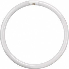 T9 Circular Tube 8'' 22w