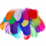 Feathers Assorted