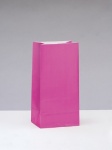 12 PAPER PARTY BAGS -HOT PINK